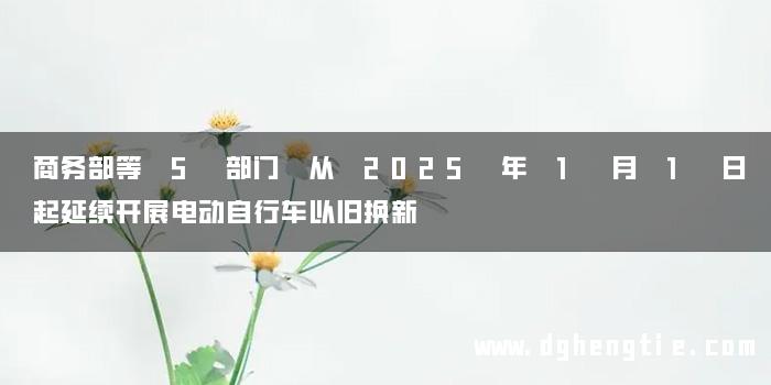 商务部等 5 部门 从 2025 年 1 月 1 日起延续开展电动自行车以旧换新